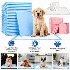 5-200PC 60x45CM LARGE PUPPY TRAINING PADS TOILET PEE WEE MATS PET DOG ABSORBENT