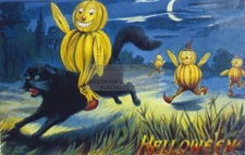 SQUASH RIDING BLACK CAT MOONLIGHT TUCK HALLOWEEN POSTCARD REPRINT