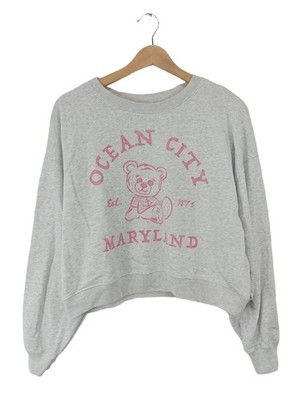 HOLLISTER Sweatshirt Damen Sweat Gr. DE 34 hellgrau-pink Casual-Look