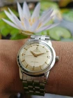 Omega Seamaster Chronometre Certified – Caliber 352 – Rare Vintage 1950s
