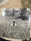 New ListingTaylor Swift Folklore in The Weeds Limited Edition Teal 2 LP Read Description!