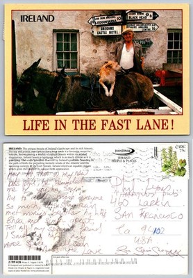 Vintage JOHN HINDE Postcard Ireland Man Donkey Dog Life in the Fast Lane