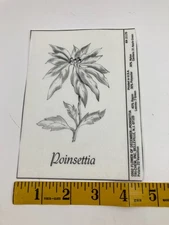 Poinsettia Flowers Floral Mini Picture to Paint TRI CHEM Liquid Embroidery