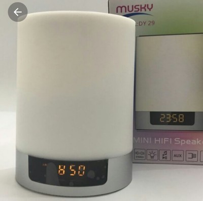 musky mini hifi speaker