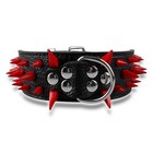Foto 17 di 20