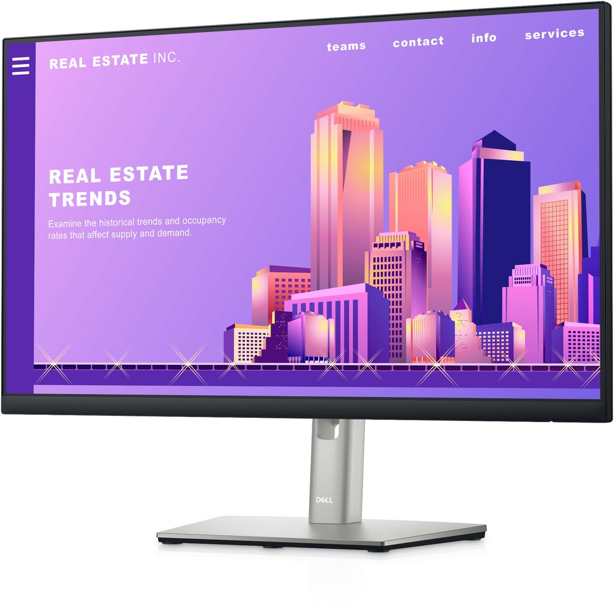 Dell 24 Monitor - P2422H - Full HD 1080p, IPS Technology
