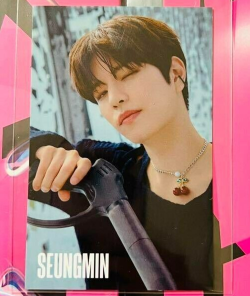 Stray Kids Seungmin MAXIDENT Tower Records Benefits Photocard