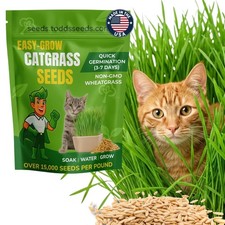 1 LB Cat Grass Wheatgrass Seeds For Indoor Cats NonGMO Hairball Relief