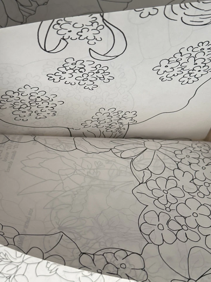 DONNA DEWBERRY ONE STROKE FRAMES FLOWER TOPIARY BIRD PLAID Painting Booklet 9526 - Image 4 of 4