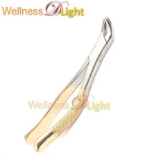 GOLD HANDLE ROOTS EXTRACTING FORCEPS #151  LOWER INCISORS CANINES PREMOLARS