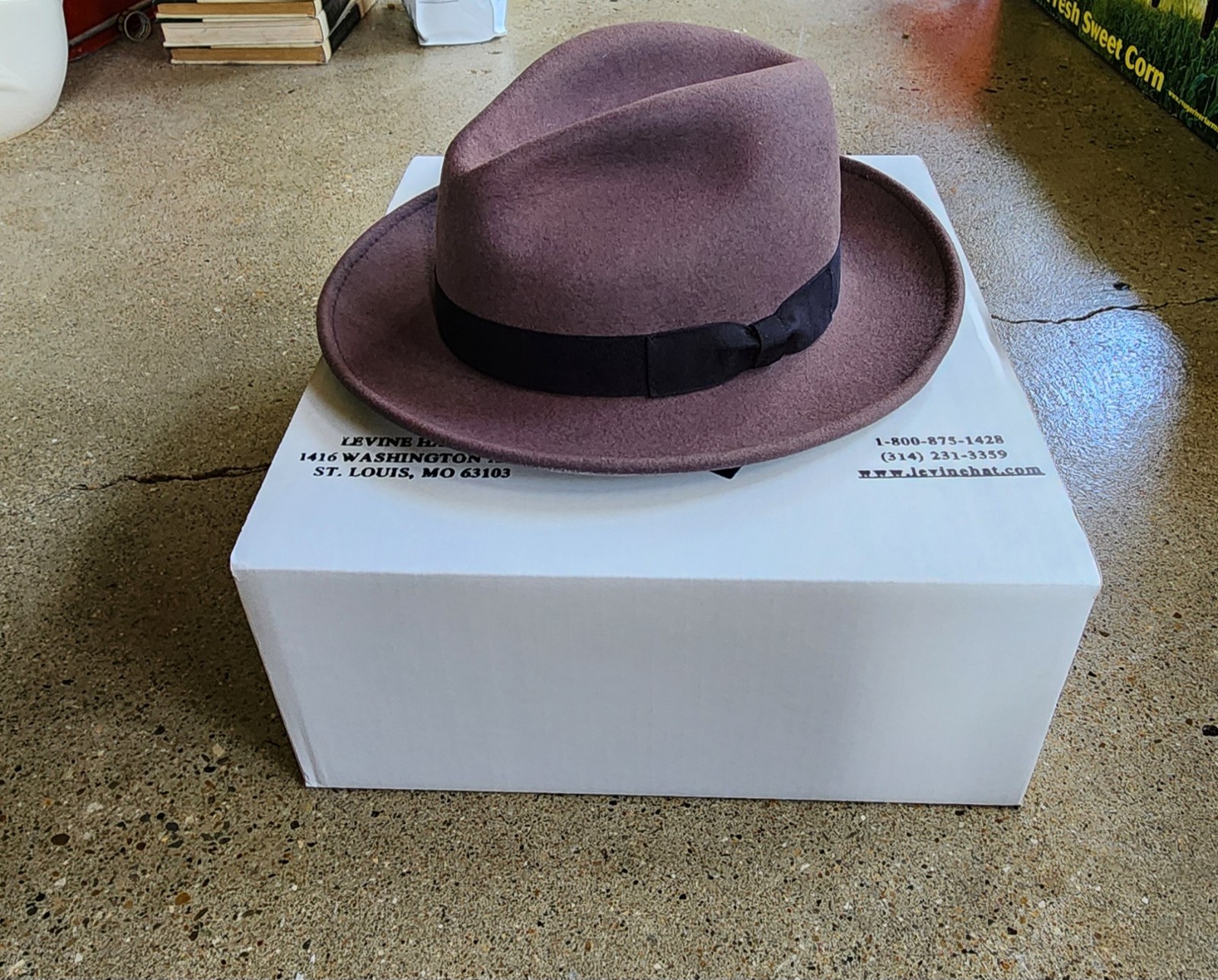 Gray Fedora Hat for Men - 9th Street Reverb Levine in Large Size 24-25 Inches-image