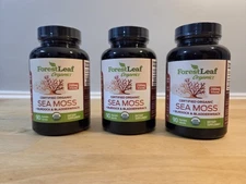 Lot of Four (4) Organic Sea Moss + for Weight Metobolism Immune Heart & More
