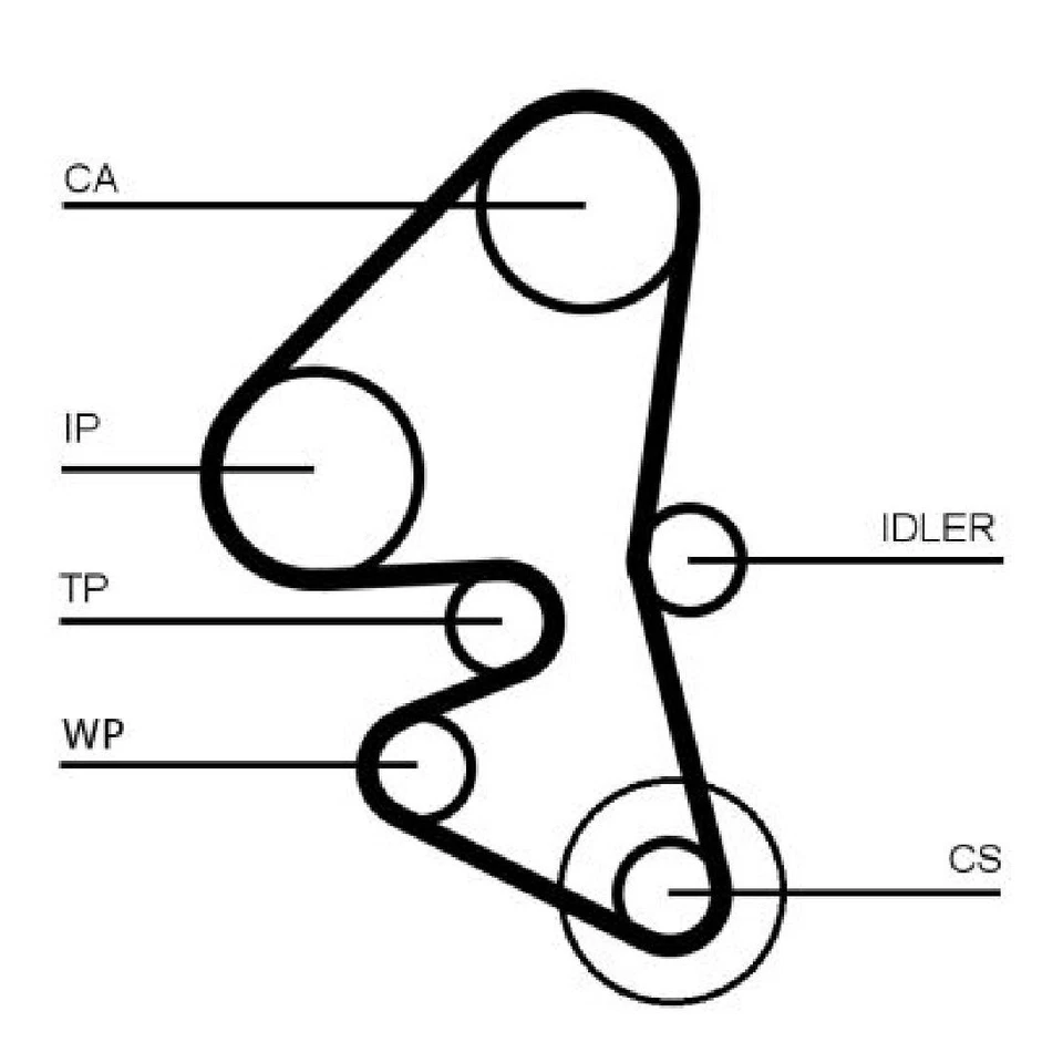 Zahnriemen-Satz für Ford Tourneo Transit | 388126 - Bild 2 von 4