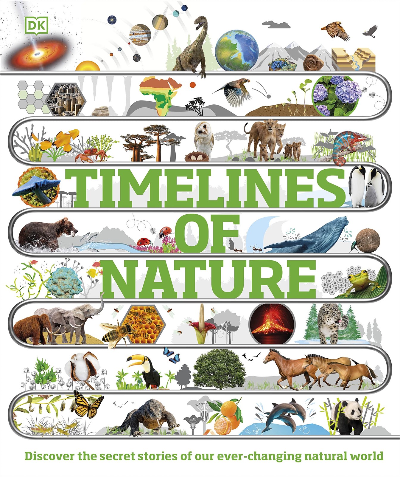 Timelines of Nature by DK HARDBACK 9780241601624 - Image 5