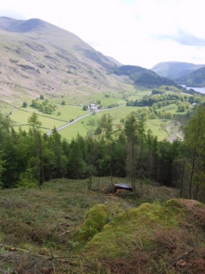 Photo 6x4 On Great How Legburthwaite Makeshift shelter in the trees c2009