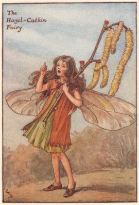 Hasel-Katzenfee von Cicely Mary Barker. Frühling Blumenfeen um 1935 Druck