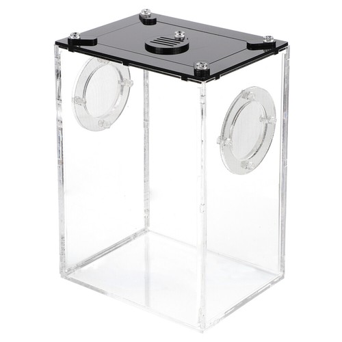 Reptile Feeding Box Acrylic Transparent for Spider Gecko and