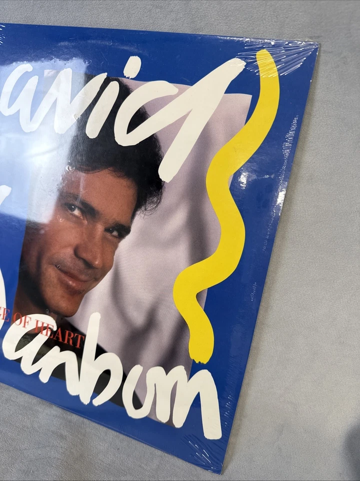 David Sanborn Vinyl A Change Of Heart Record New Sealed Rca Warner Brothers LP - Imagem 3 de 4