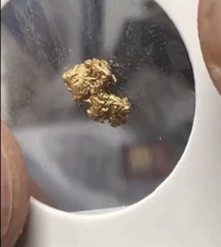 .382  Gram Nubia Egypt  Gold Nugget- AU - XRF 23k+ &ldquo;SNOOPY DOG&rdquo; Gold Nugget