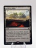 Evolving Wilds 248/264 Tarkir Dragonfury Promo DTK MTG NM