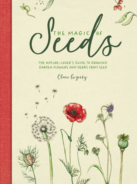 The Magic of Seeds by Clare  Gogerty (Hardback Book)
