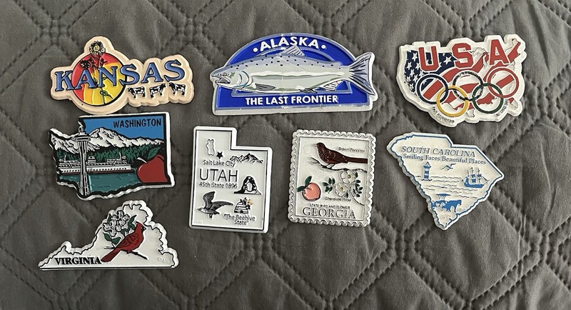 Souvenir resin magnets from North American states (9)