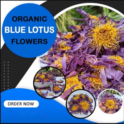 Dried Blue Lotus Flower 100% Organic Natural Egyptian Lotus For Sweet Dreams 5Kg