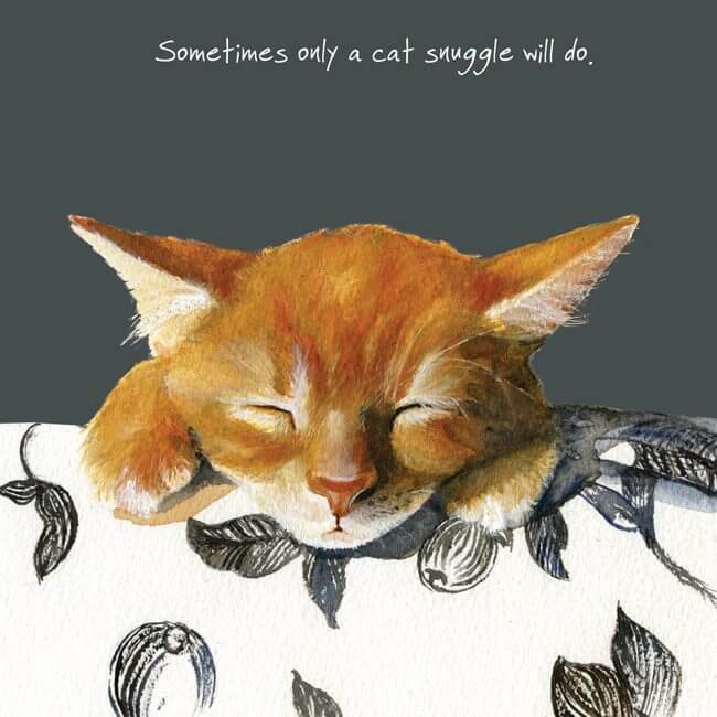Snuggle Funny Ginger Cat Greeting Card Anna Danielle Humorous Greetings Cards