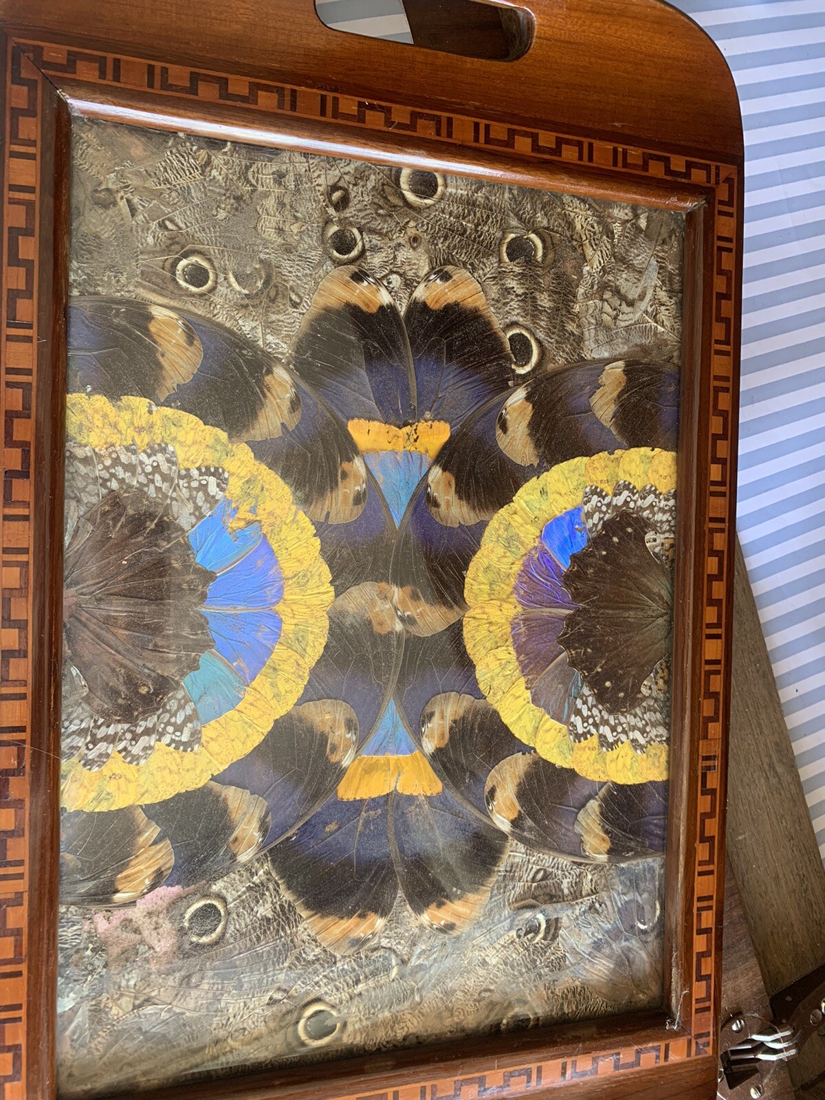 Picture 2 of 14
