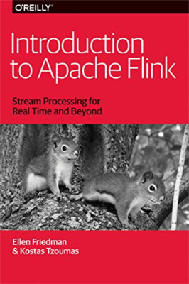 Einführung in Apache Flink: Stream Processing für Rea - Taschenbuch NEU Ellen Fr