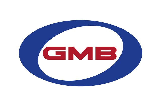 GMB 546-2220 Fuel Pump Module Assembly GMB 546-2220 Fuel Pump Module Assembly