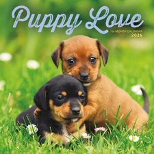 Carousel Calendars,  Puppy Love 2026 Wall Calendar, 12'' X 12'', 16-Month Calend