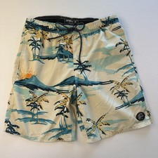 O Neill Mens Cabana Volley Cruzers Board Shorts Swim Shorts Trunks Medium