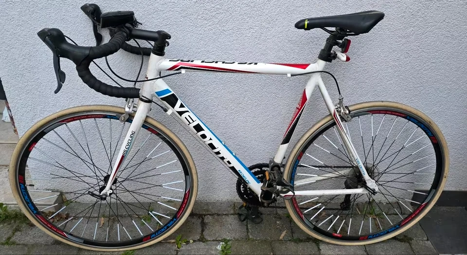 KS Cycling Rennrder online kaufen | eBay.de