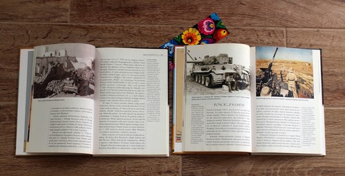 WW2 THE FIGHTS IN AFRICA 1940 - 43 VOL. 1 & 2 fantastic booklets plates - Picture 3 of 12