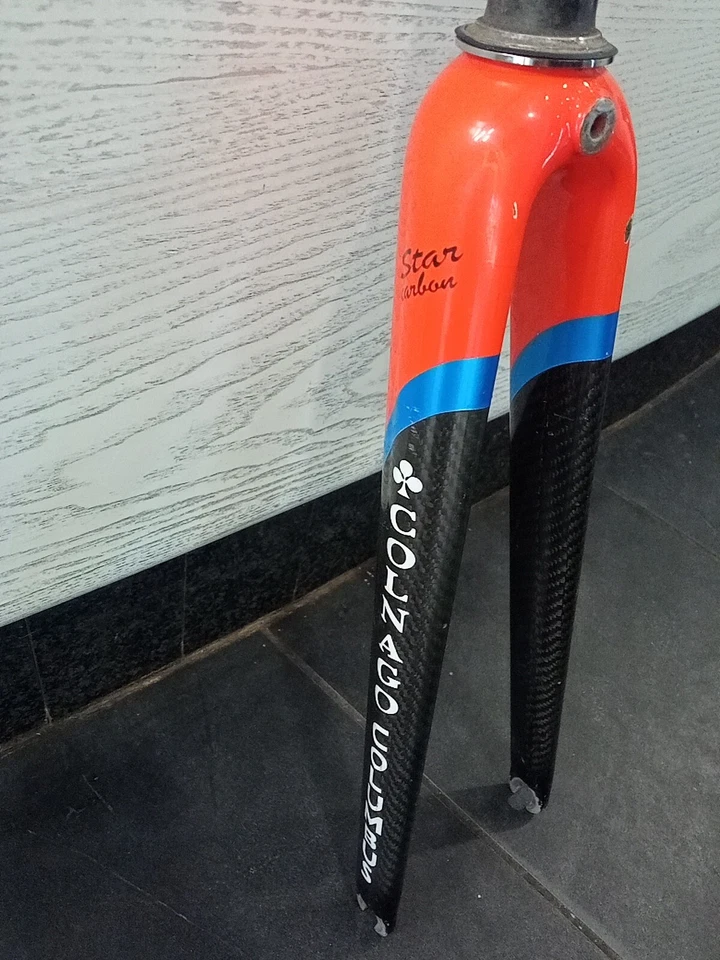 Colnago Star Carbon  Inch 1 - 1/8 Team Panaria 2007 Foto 3 de 4