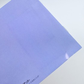 BURNING ANGEL PC Engine Hu 1157 pe