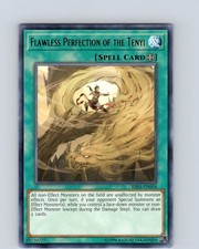 Yu-Gi-Oh TCG Flawless Perfection Of The Tenyi RIRA-EN058 Unlimited Rare Card NM
