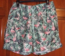 Goodfellow Mens Casual Shorts / SWIM TRUNKS - Green / Pink Flamingos - M