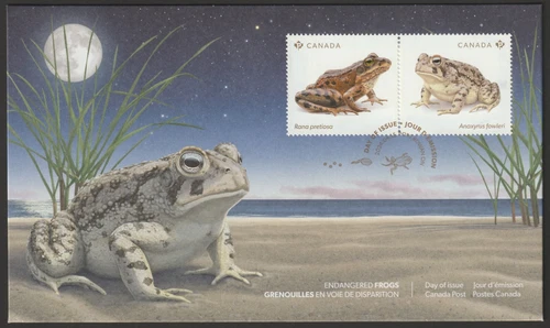 Canada #3420, Endangered Frogs, Toad, Official First Day Cover, FDC 2024