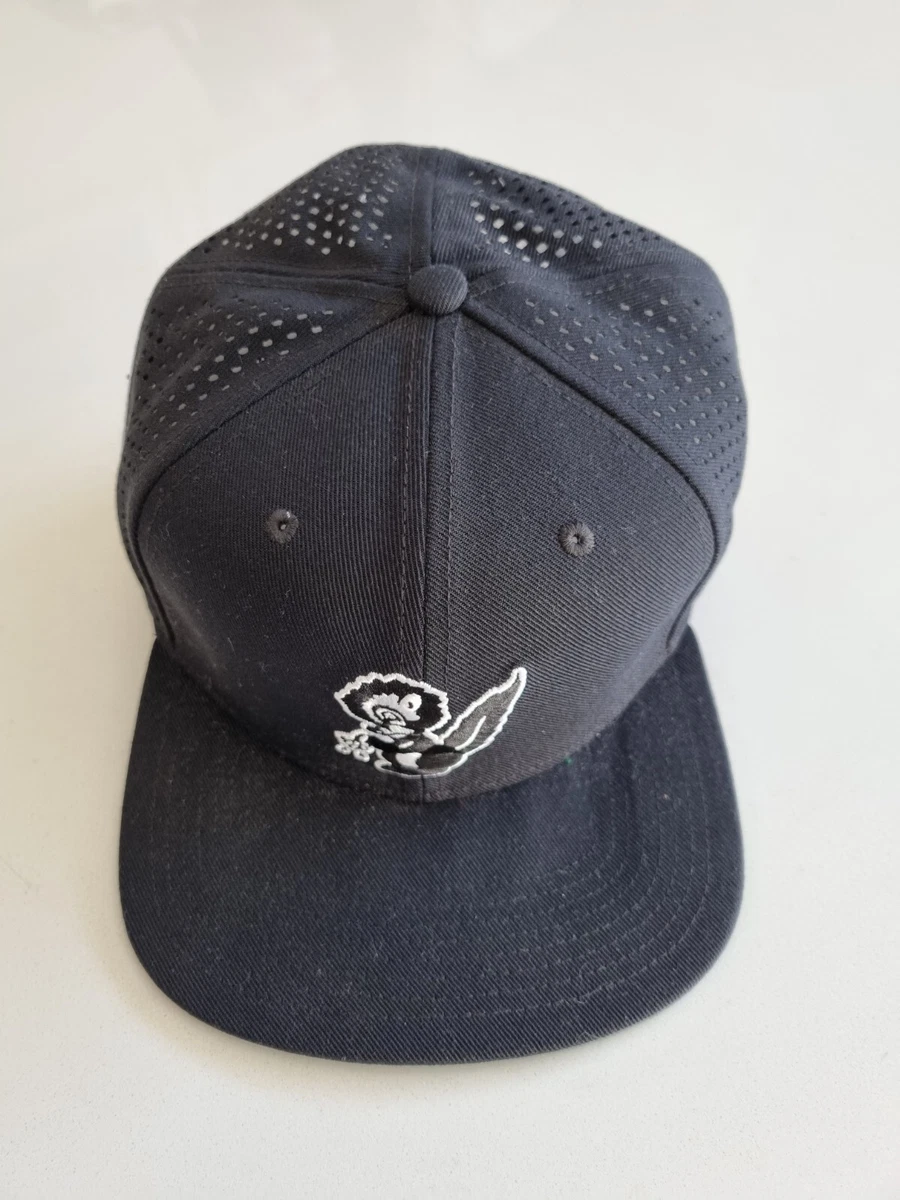 Nike SB Skateboarding baseball cap Skunk eBay