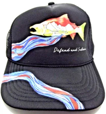 Defend and Sustain Colorful Artful Trucker Mesh Snapback Uni OTTO Hat FREE SHIP