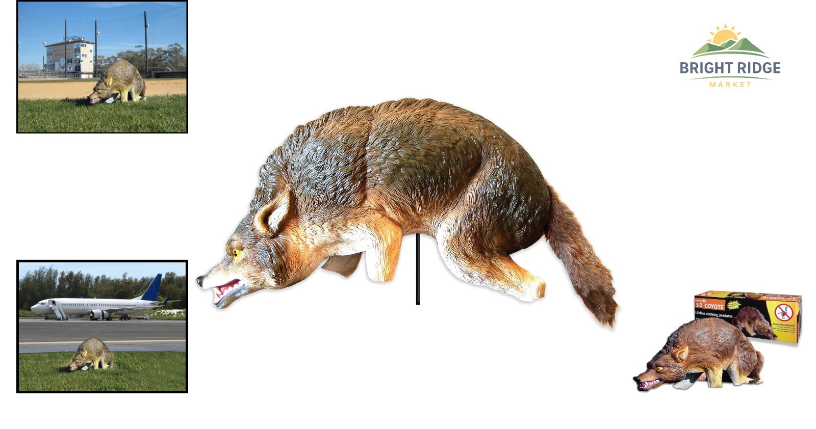 Wind-Powered Coyote Decoy with Realistic Features for Outdoor