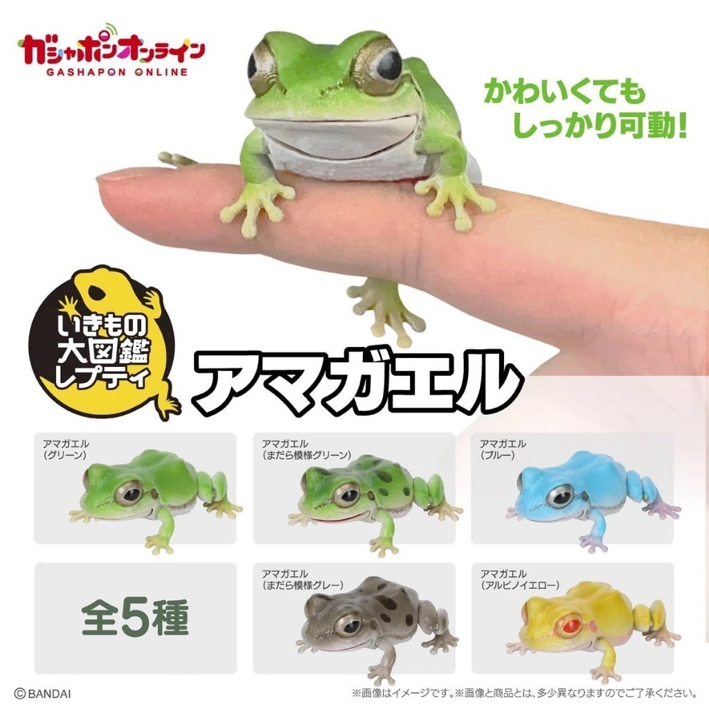 Bandai Japan Living Creatures Encyclopedia Repti Tree Frog