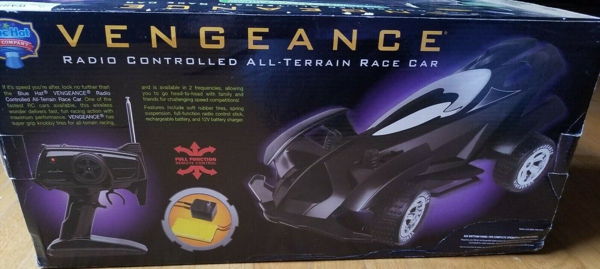 Vengeance Radio Controlled All-Terrain Race Car, Color