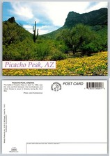 Postal Picacho Peak Arizona - Paisaje del desierto, cactus Saguaro, flores silvestres