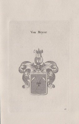 1830 Mayer Meier Meyer Wappen coat of arms Heraldik Kupferstich
