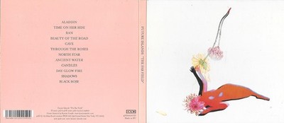 FUTURE ISLANDS - the far field  - 12  track CD