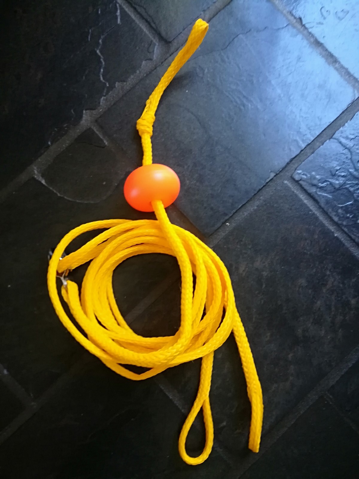 Outboard Motor Water Ski Bridle 2.2M With Float Ronstan Australia