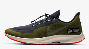 zoom pegasus 35 shield